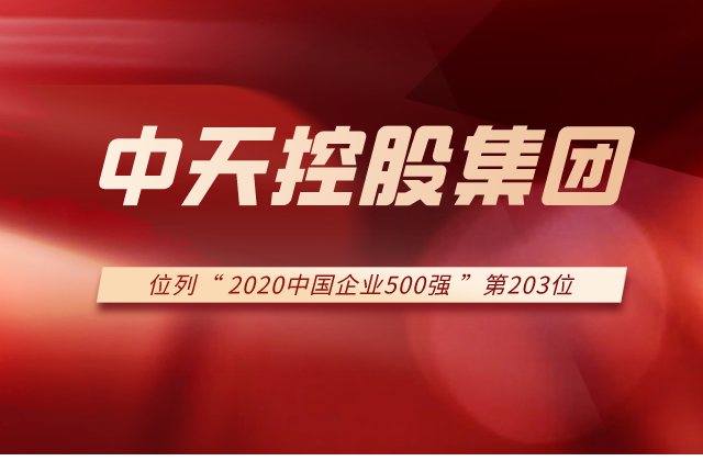 d88尊龙z6集团列2020中国企业500强第203位！